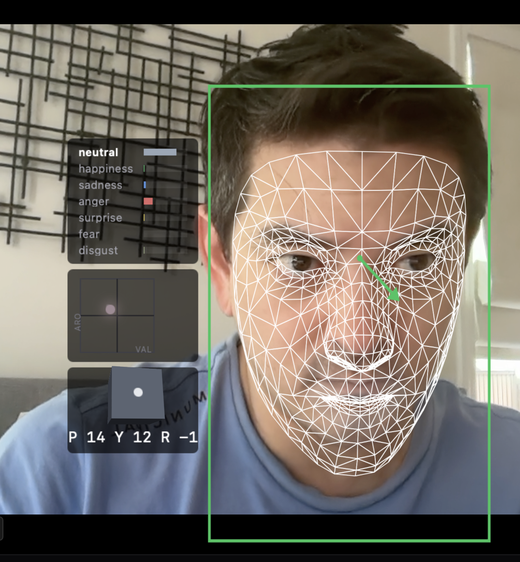 Py-feat Live tracking head pose as the subject looks up and to the side